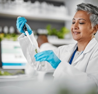 Hand holding a lab dish that contains a mint leaf